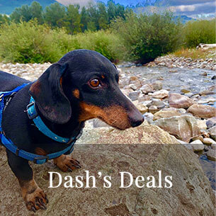 Dash's Deals