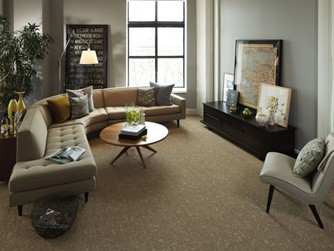 Gallery of Floors - Carpet